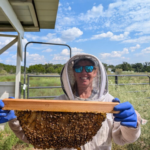 Building a Bee Therapy Haus for Veterans and First Responders